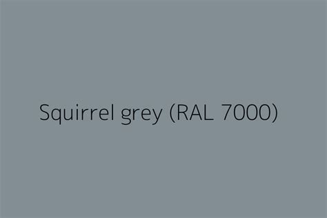 Squirrel Grey RAL 7000 Color HEX Code