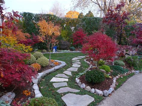 Right now, japanese maples are exploding into a gorgeous array of fall colors, says landscape architect ami saunders. Japanese maple garden fall colors | Japanese maple garden ...