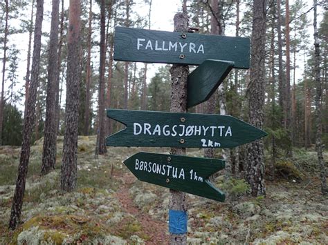 OptimistGammeln: Nes Blåstiprosjekt 2020 Tur #17 Dragsjøen Rundt - Fallmyra