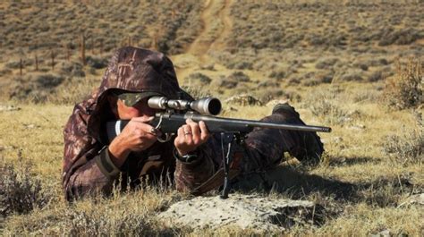Gun For Bear Hunting Top 5 Best Guns For Bear Hunting This 2022