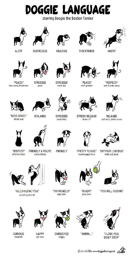 Image Result For Dog Body Language Chart Dogs Dog Body Language Dog