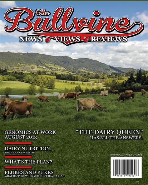 Bullvine Cover 08 24 2013
