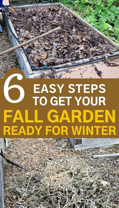 6 Simple Tips To Get Your Garden Ready For Winter Winter Vegetables