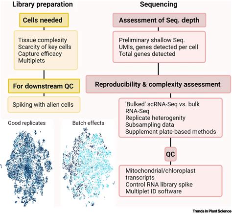 Crafting A Blueprint For Single Cell Rna Sequencing Trends In Plant