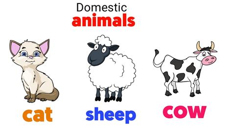 Domestic Animals Name Learn Domestic Animalssounds And Names The