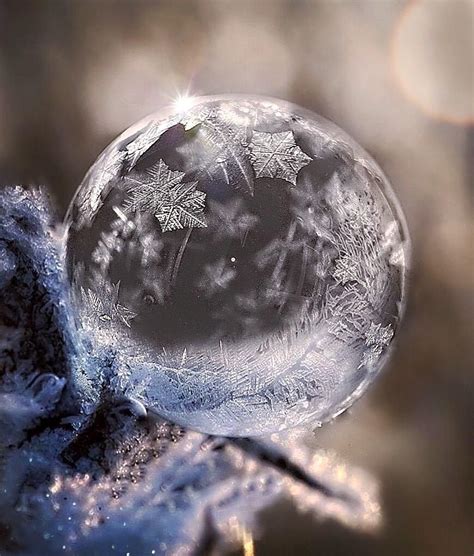 Snowflake Photography Winter Photography Macro Photography Creative