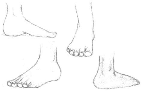 Drawing The Human Figure The Feet Hubpages