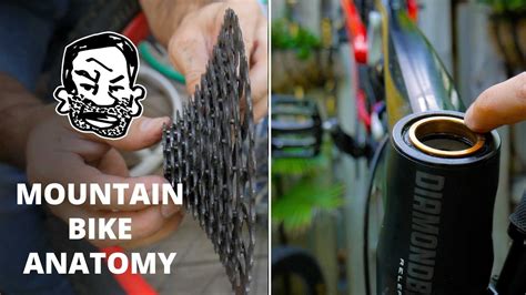 Jump to navigation jump to search. Mountain Bike Anatomy - 50 parts in 5 minutes - YouTube
