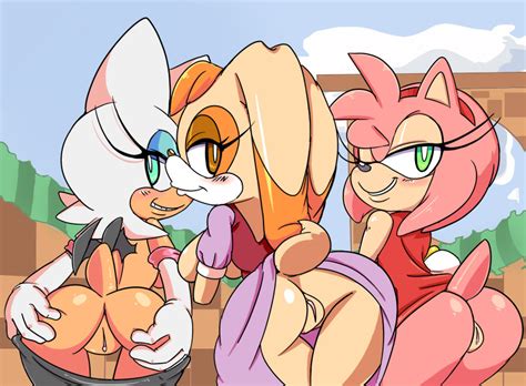 1360765 Amy Rose Rouge The Bat Sonic Team Vanilla The Rabbit Cloudz