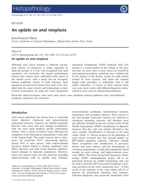 An Update On Anal Neoplasia 2017 Who Pdf Cytopathology Epithelium