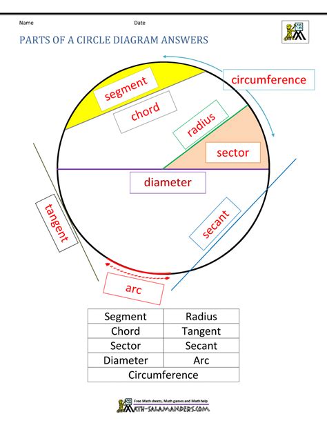 Parts Of A Circle Worksheet