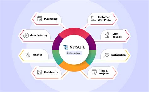 5 Top Ways In Which Netsuite Eases E Commerce Operations Vnmt