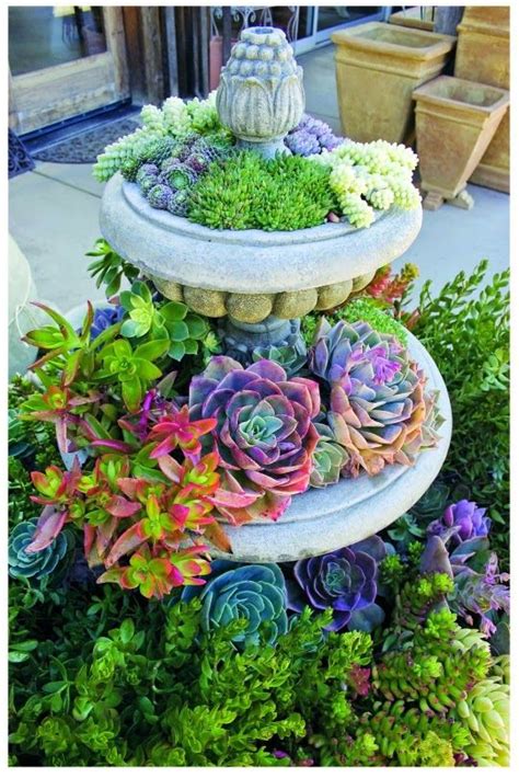 Low Landscape Plants Next To Tall Fountain Steps To Create A Lush