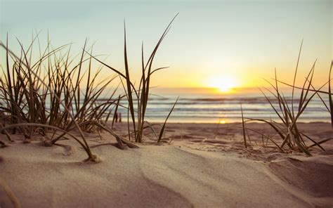 Green Grass During Sunset · Free Stock Photo