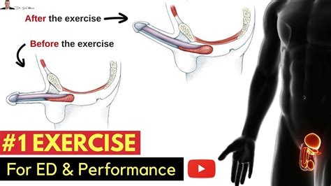 🤷🏼‍♂️ 1 Exercise For Preventing Erectile Dysfunction And Improving Your Performance In The