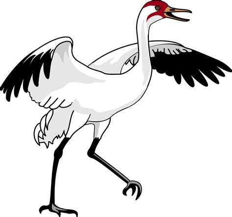 Swan 3 Png Images Crane Bird Clipart Transparent Png Full Size