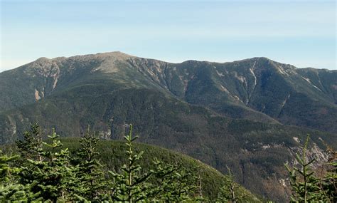 Fileabies Balsamea White Mountains Nh