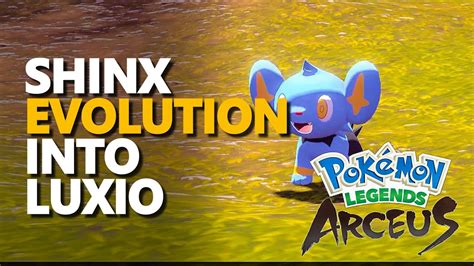 Shinx Evolution Into Luxio Pokemon Legends Arceus YouTube