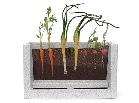 Maybe you would like to learn more about one of these? Root Vue Farm