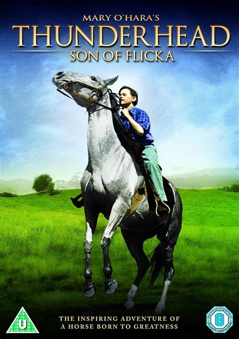 Thunderhead Son Of Flicka Dvd Amazon De Dvd Blu Ray