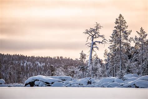 Lake Inari In Winter Aurora Tour Cool Places To Visit See The
