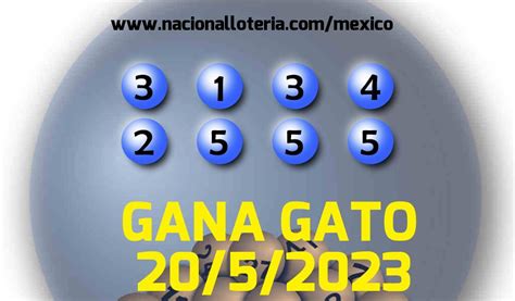 Resultados Gana Gato 2542 Del Sábado 20 De Mayo De 2023 Resultados Lotería Pronósticos