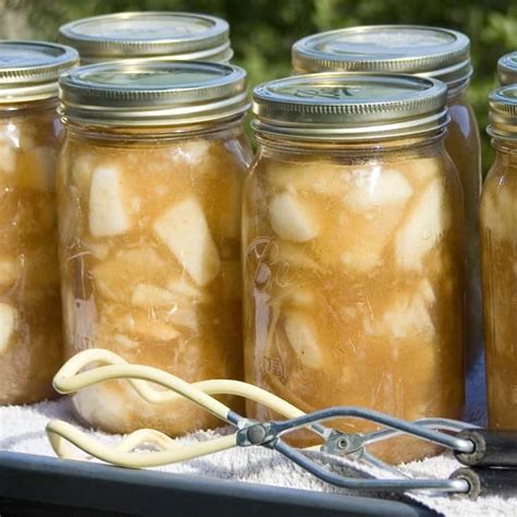 It is best to buy your apples straight from the source at an apple orchard or farmer's market but not everyone has access to these sources for. homemade apple pie filling | Apple pies filling, Canning ...