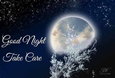 Take Care Good Night Premium Wishes