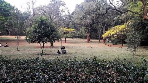 Nairobi Arboretum Ce Quil Faut Savoir Pour Votre Visite Tripadvisor