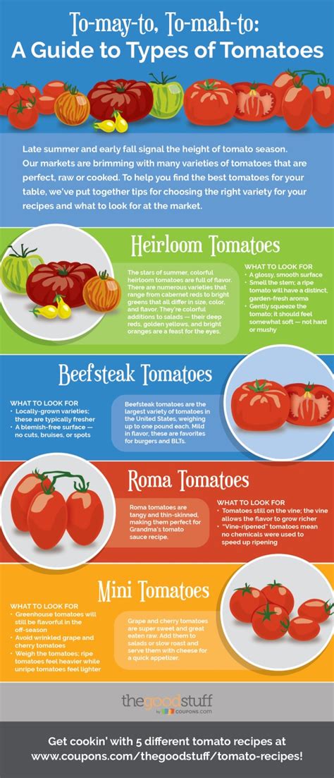 To May To To Mah To A Guide To Types Of Tomatoes Thegoodstuff