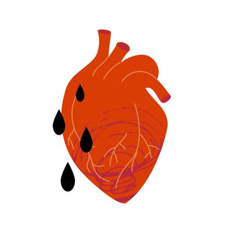 Anatomical Heart Tattoo Designs Cartoon Illustrations Royalty Free