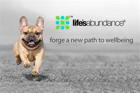 Get your assignment help services from professionals. Life's Abundance Premium Dog Food - I Spy Frenchies!