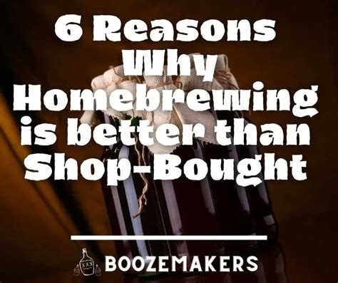 🍷 6 Reasons Why Homebrewing Wine Is Better Than Store Bought Boozemakers