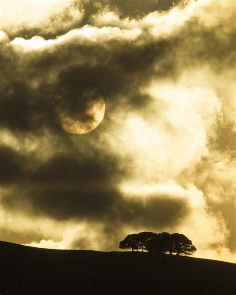 Setting Sun Through The Fog Photograph By David Laurence Sharp Fine