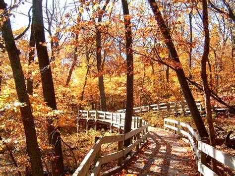 Another cheaper option for travelers is to use one of the options below to send money to friends or then what are the cheapest and most practical ways to do international money transfers? 5 Best Scenic Drives from Omaha to See Fall Colors — Send ...