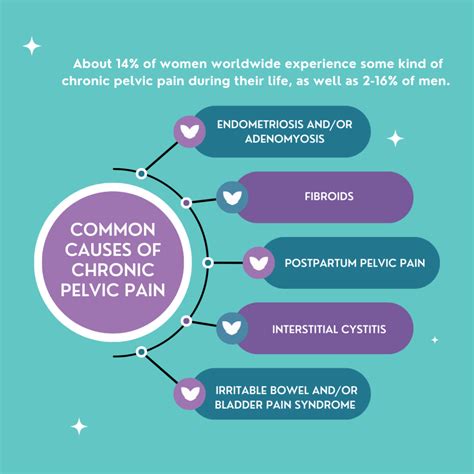 The Burden Of Chronic Pelvic Pain Costs And Quality Of Life Pelvic