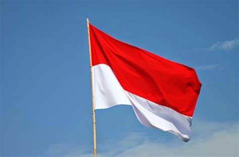 Maybe you would like to learn more about one of these? Ini Dia Fakta-fakta Unik Tentang Bendera Merah Putih Yang ...