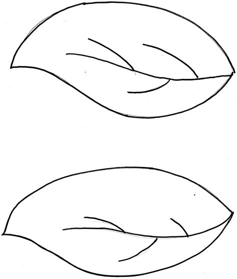 Leaves Template Clipart Best