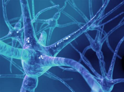 Multiple sclerosis (ms) is a condition that can affect the brain and spinal cord, causing a wide range of potential symptoms, including problems with vision, arm or leg movement, sensation or balance. BioLâmina: Descoberta a forma de ativação da Esclerose ...