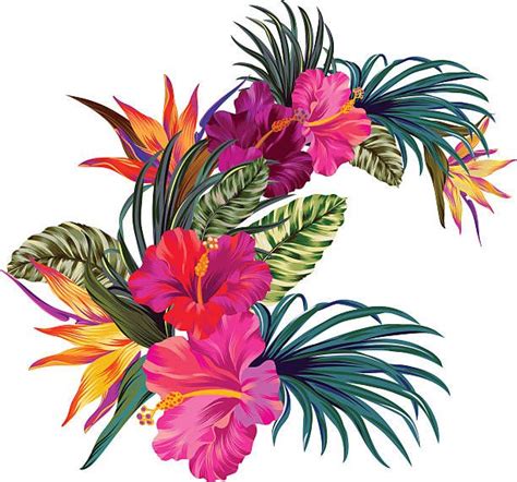 vector bouquet with tropical flowers retro hawaiian style floral fleur tropicale tatouages
