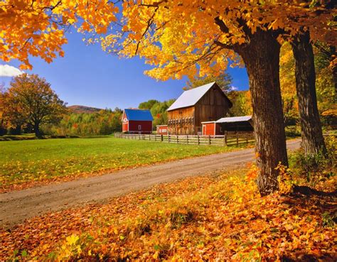 7 Perfect Fall Foliage Drives For Taking In The Scenery Barn Photos