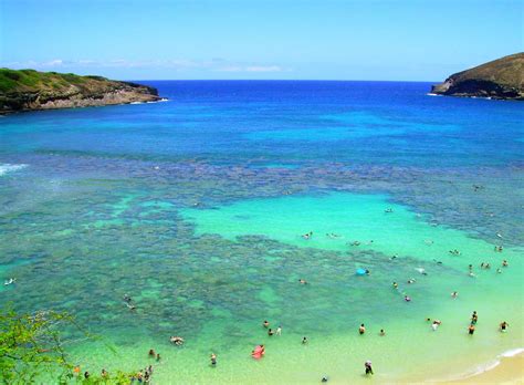 Hanauma Bay Snorkelers Paradise Hawaii Pictures