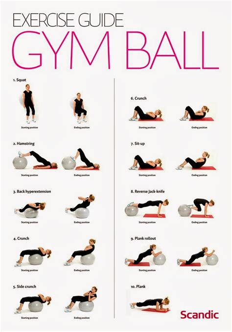Printable Exercise Ball Exercises For Beginners