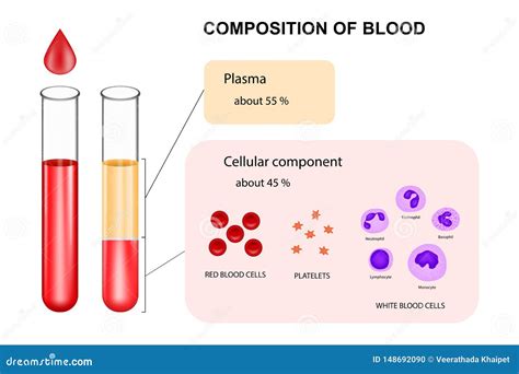 Infographic Composition Of Blood Concept Stock Vector Illustration Of