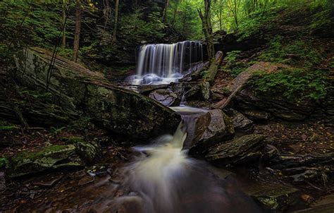 Waterfall In The Woods Photograph By Chris Ferrara