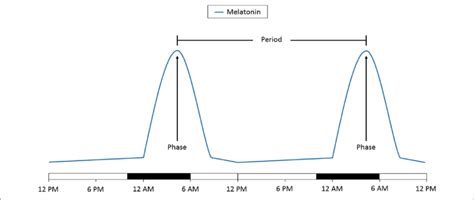Schematic Representation Of The Change In Melatonin Levels Over H