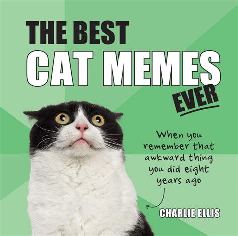 Clean Cat Memes That Are Actually Funny Sure There Are Those Famous Cats Whove Graced The