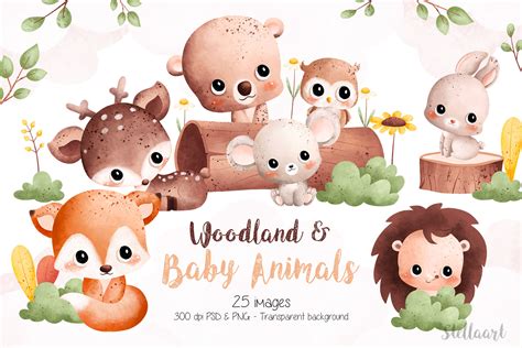 Woodland And Baby Animals Clipart Graphic By Stellaart · Creative Fabrica