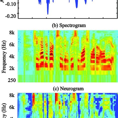 Illustration Of The Difference Between The Spectrogram Vs Neurogram