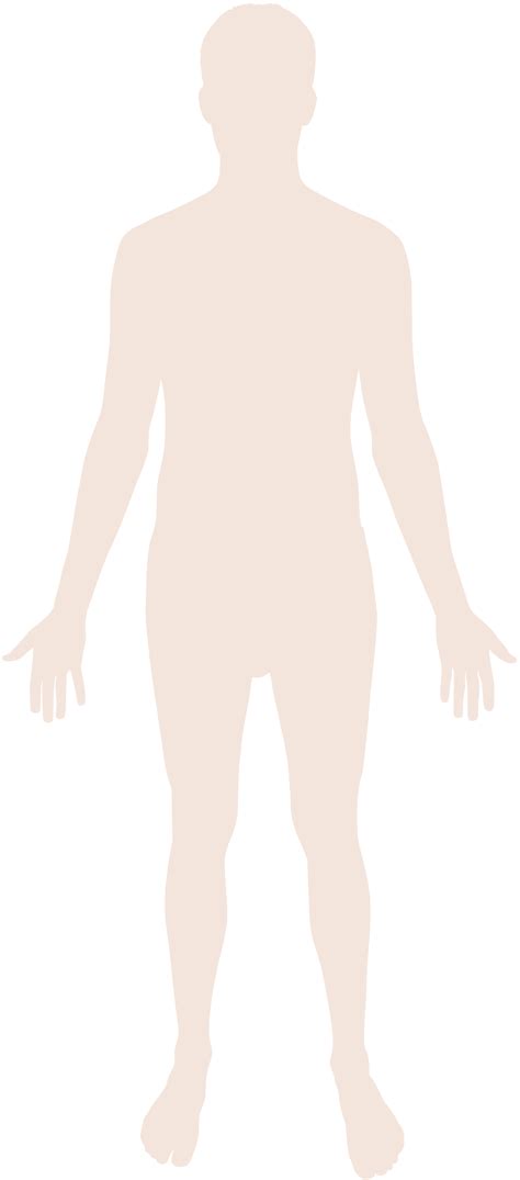 file human body silhouette svg wikimedia commons